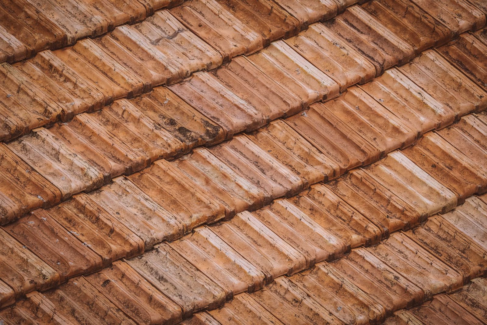 Weathered roofing, up close