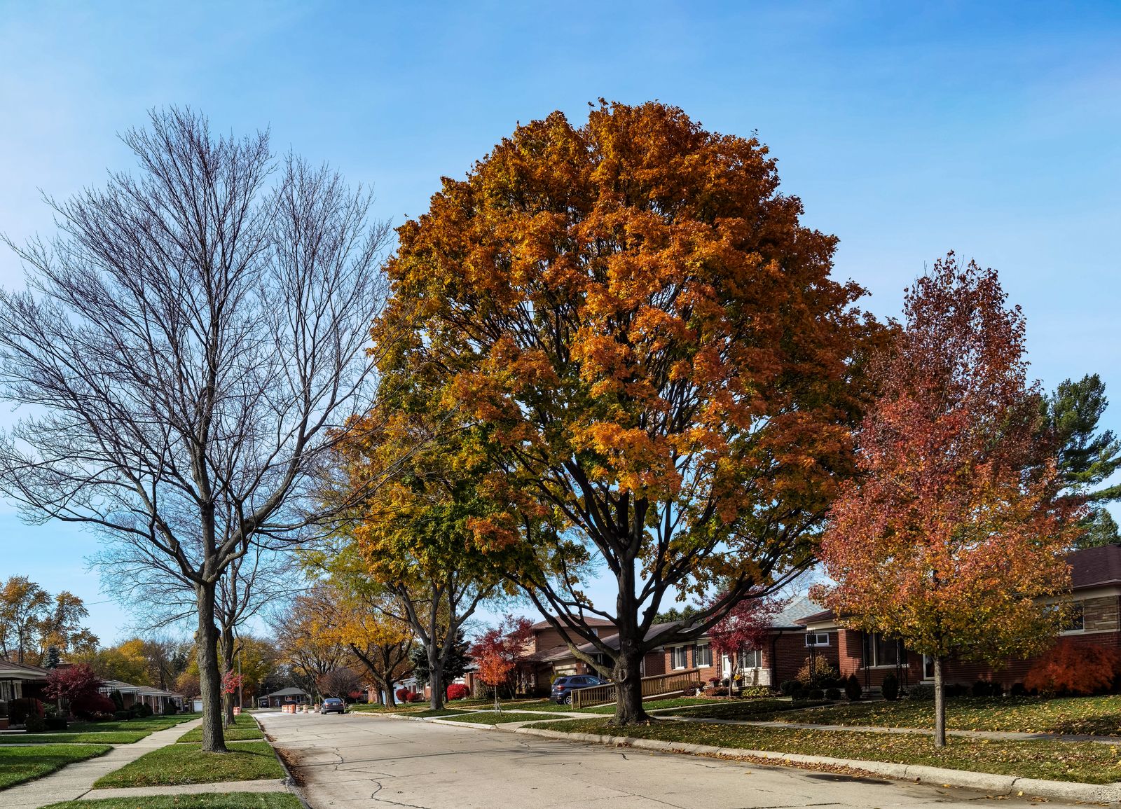 Homes in Brookline